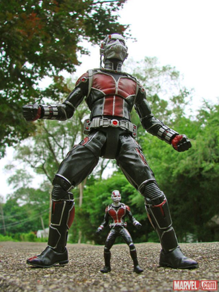 Illustration for article titled All Ant-Man Figures Look Great In Real-Life Environments